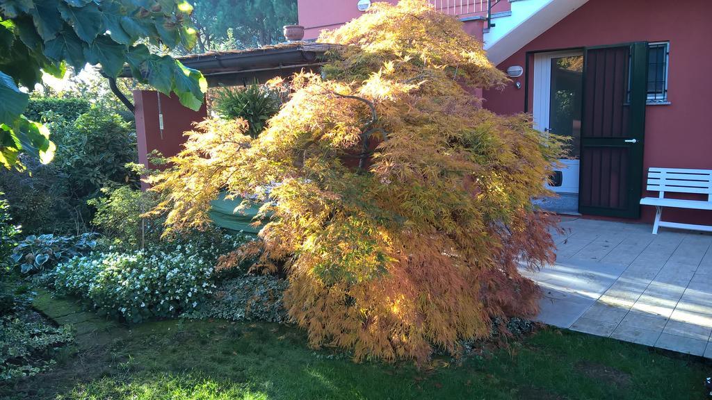 La Collina Since 2008 No Smoking B&B Varese Eksteriør billede