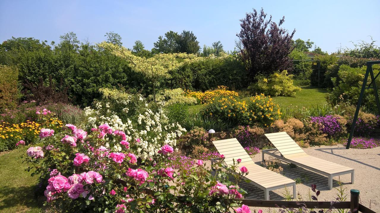 La Collina Since 2008 No Smoking B&B Varese Eksteriør billede