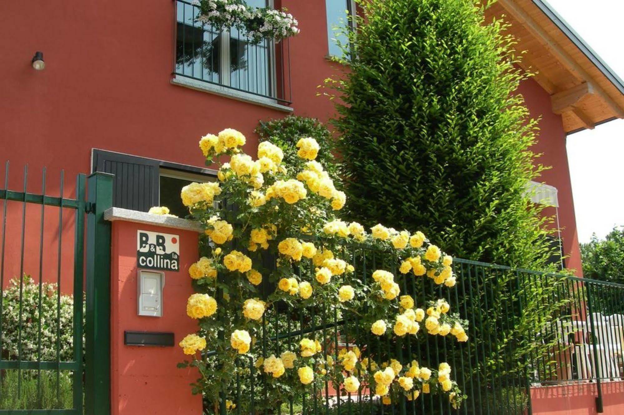 La Collina Since 2008 No Smoking B&B Varese Eksteriør billede